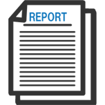 Report Icon